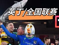 爱游戏体育客户端-欧国联赛2021